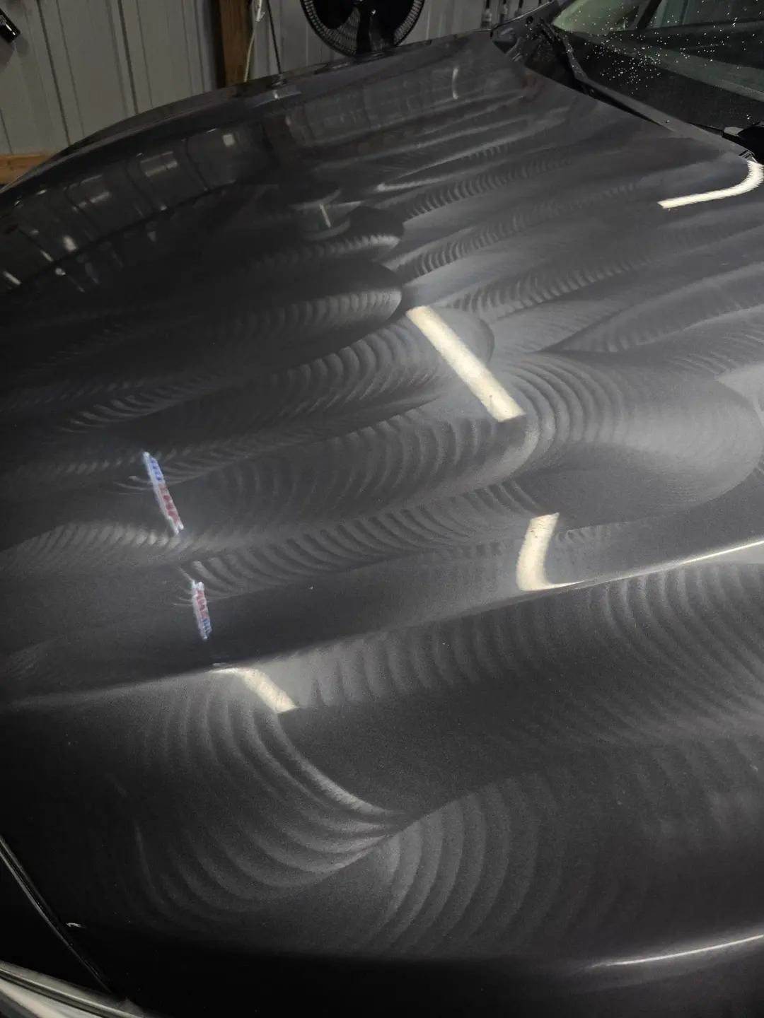 2019 Subaru Outback hood documented during paint correction