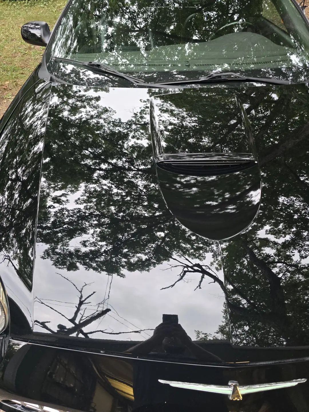 Crisp reflections across the Thunderbird hood after correction